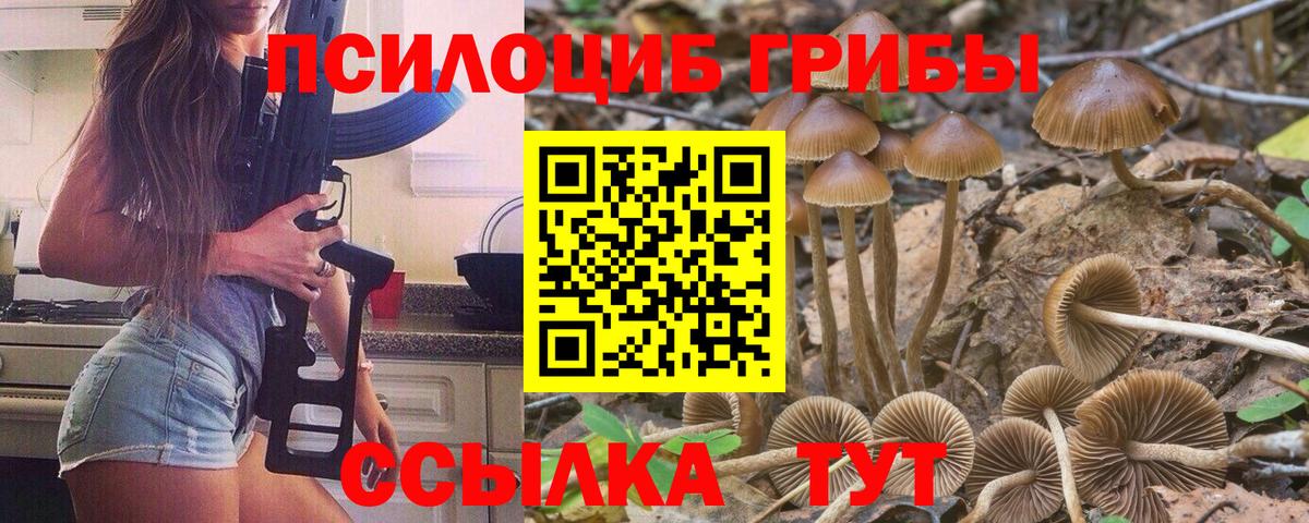 Псилоцибиновые грибы мухоморы Муром